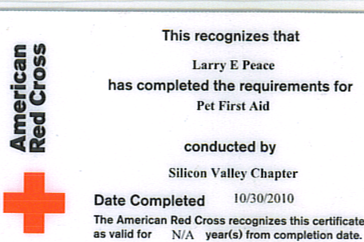 American Red Cross